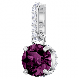 5437323 SWAROVSKI REMIX:CARM BIRTH LROS/RHS FEBURARY