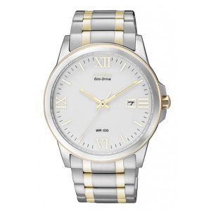 AU1044-58A CITIZEN GENT ECCO-DRIVE WATCH